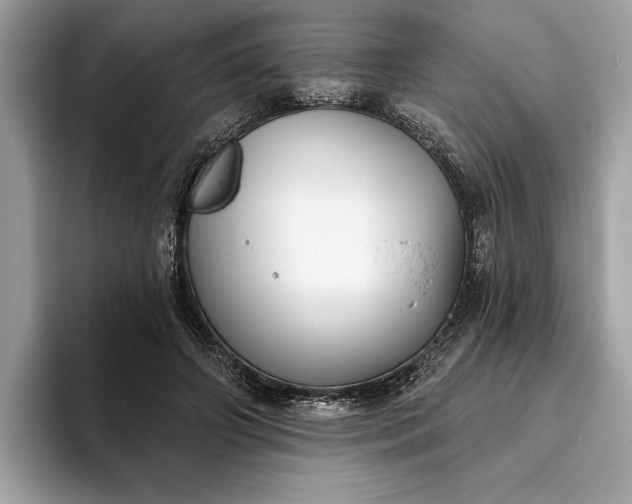X0000093620498200710221549