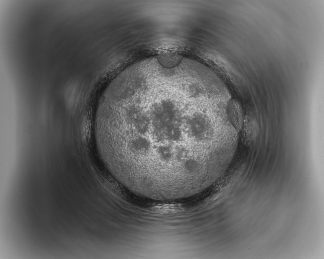 X0000093620499200710221549