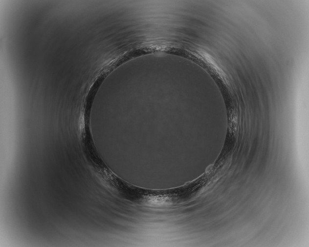 X0000093620500200710221549