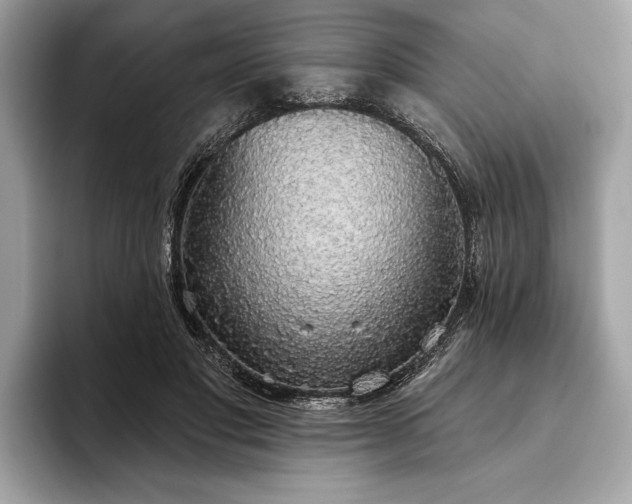 X0000093620501200710221549
