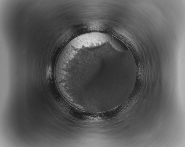 X0000093620502200710221549