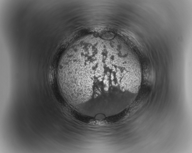 X0000093620503200710221549