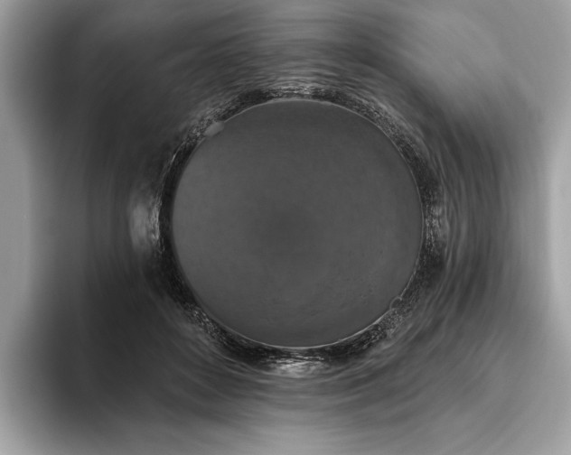 X0000093620504200710221549