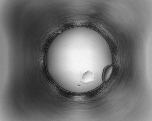 X0000093620505200710221549