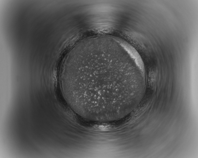 X0000093620506200710221549