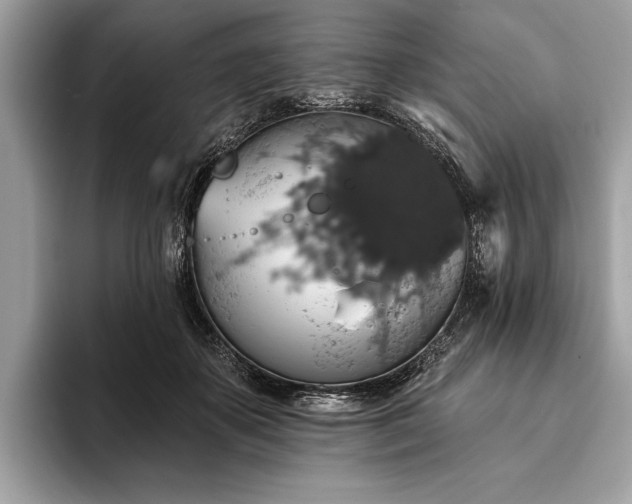 X0000093620507200710221549