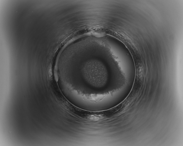 X0000093620508200710221548