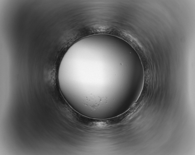 X0000093620509200710221548