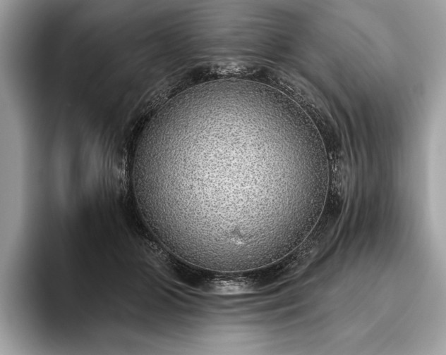 X0000093620510200710221548