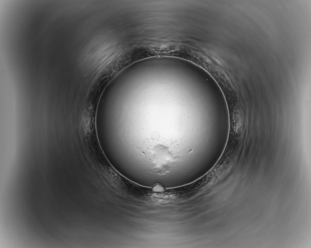 X0000093620515200710221548