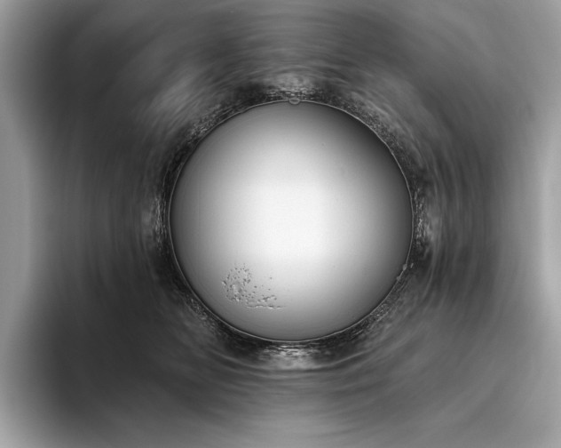 X0000093620518200710221548