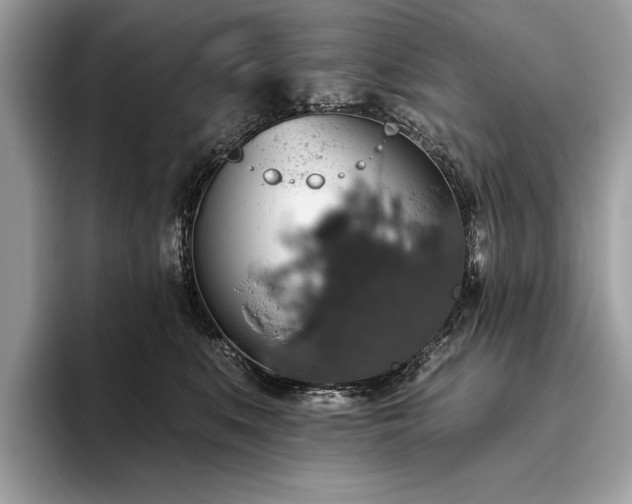 X0000093620519200710221548