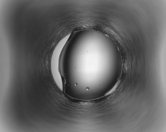 X0000093620520200710221548