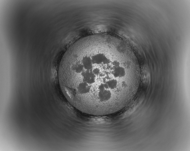 X0000093620523200710221548