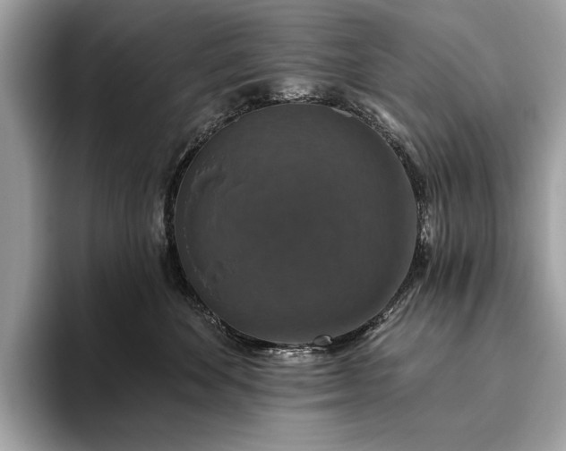 X0000093620524200710221548