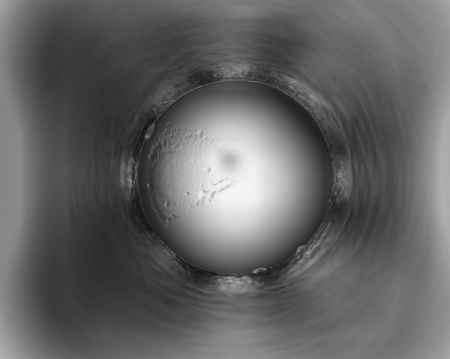X0000093620525200710221548