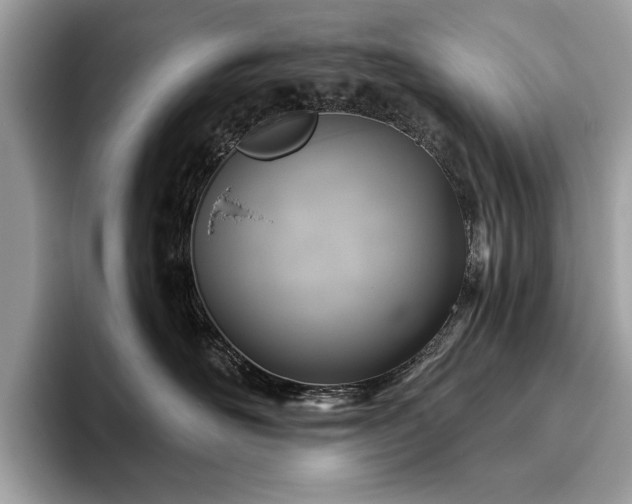 X0000093620526200710221548