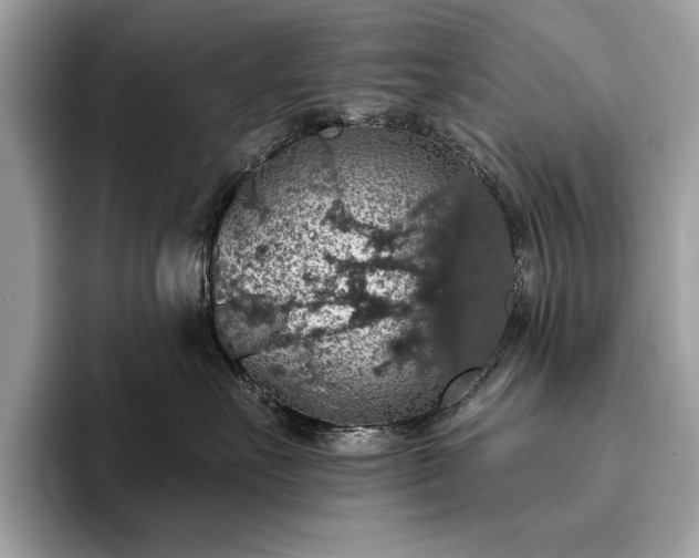 X0000093620527200710221548