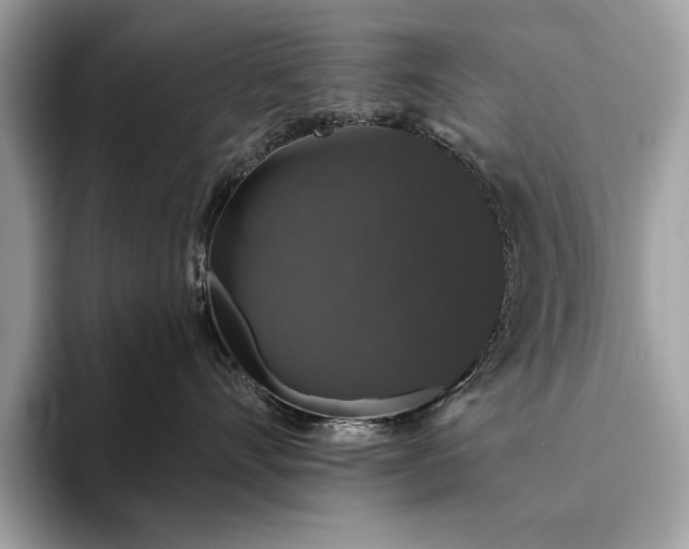 X0000093620528200710221548