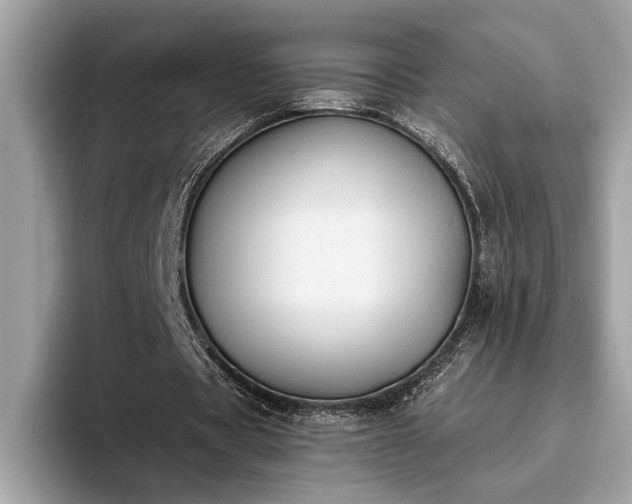 X0000093620529200710221548