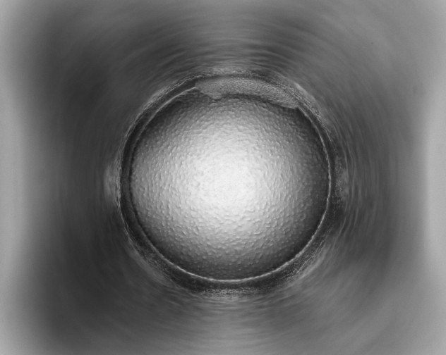 X0000093620530200710221548