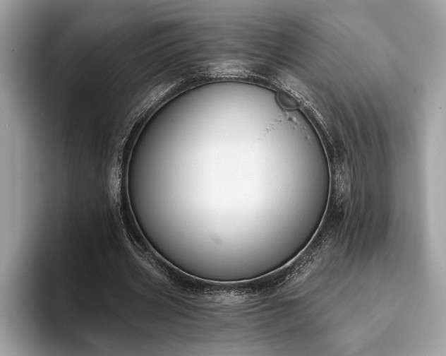 X0000093620533200710221548