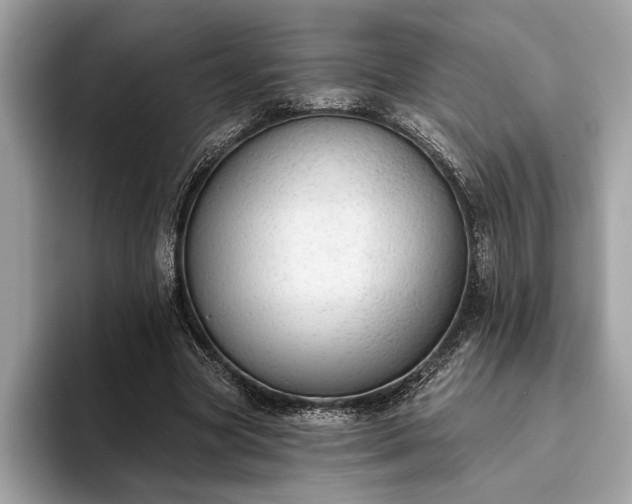 X0000093620537200710221548