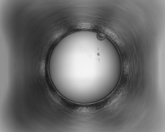 X0000093620538200710221548