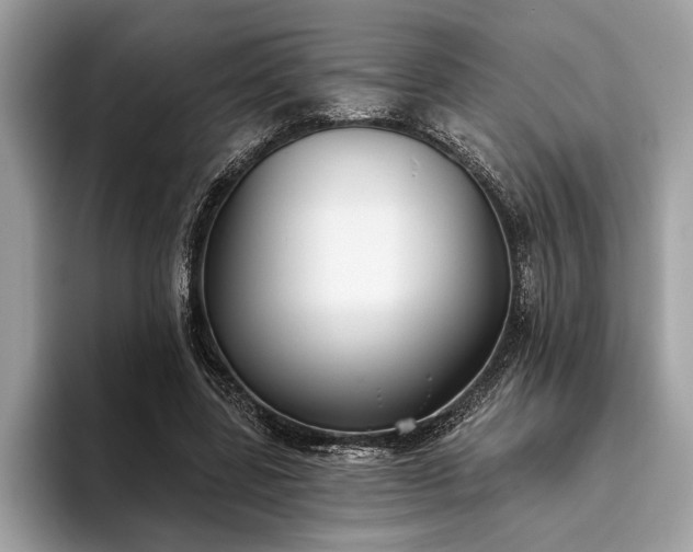 X0000093620539200710221548
