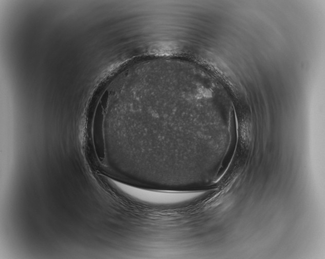 X0000093620540200710221548