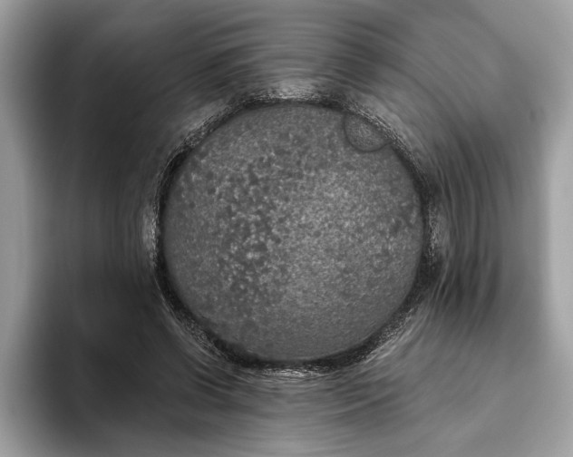 X0000093620542200710221548
