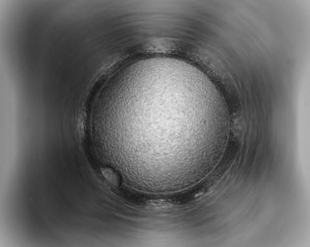X0000093620544200710221548