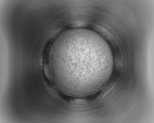 X0000093620546200710221548