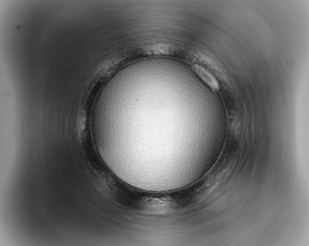 X0000093620548200710221548