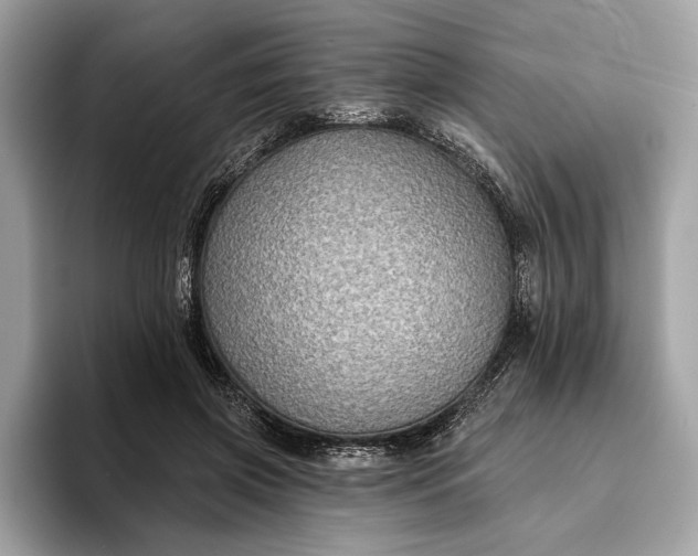 X0000093620549200710221548