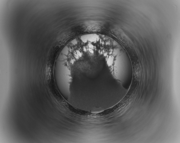 X0000093620551200710221548
