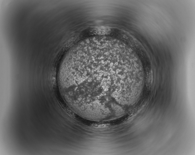 X0000093620553200710221548