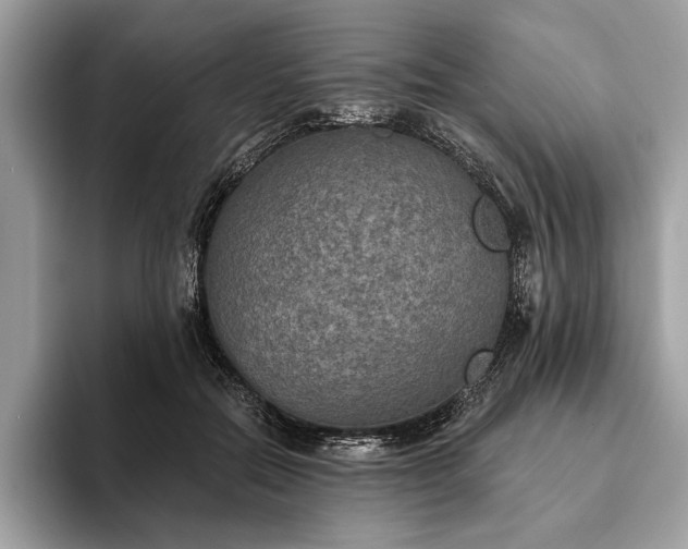 X0000093620554200710221548