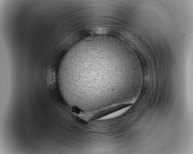 X0000093620555200710221548