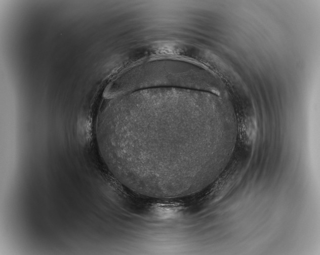 X0000093620556200710221548