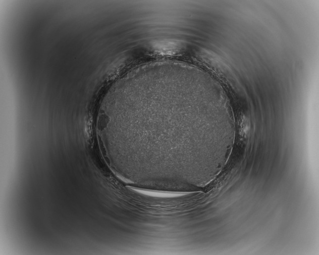 X0000093620559200710221548