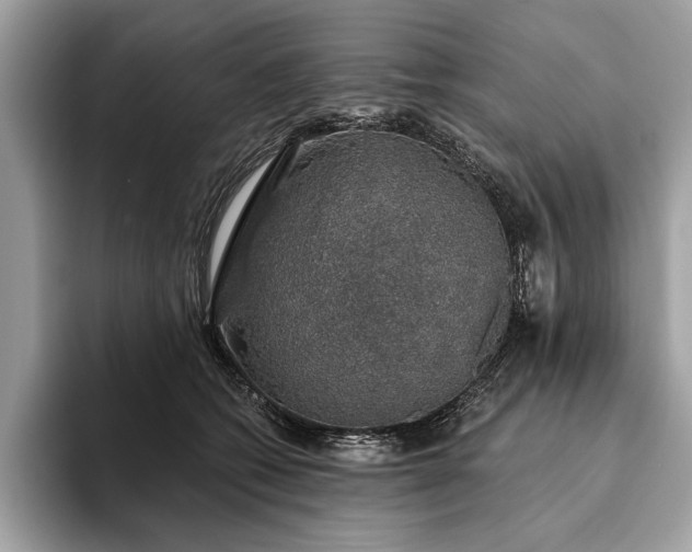 X0000093620562200710221548