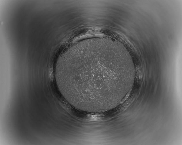 X0000093620564200710221548