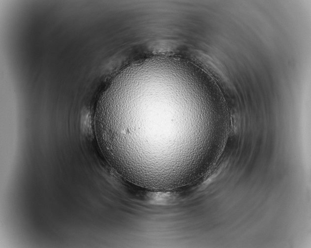 X0000093620575200710221548