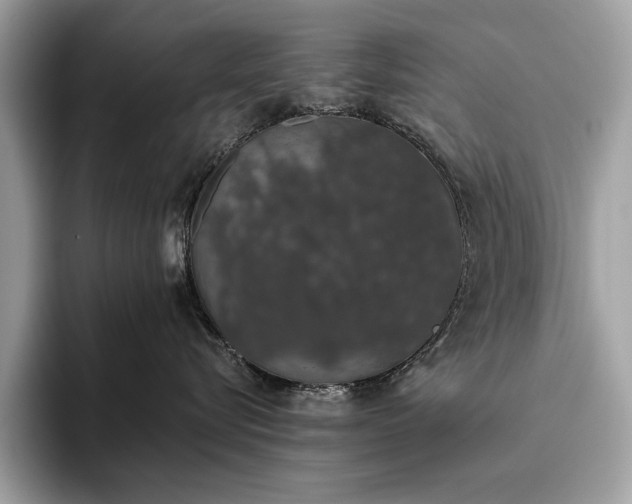 X0000093620576200710221548
