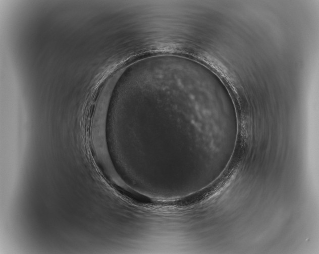 X0000093620577200710221548