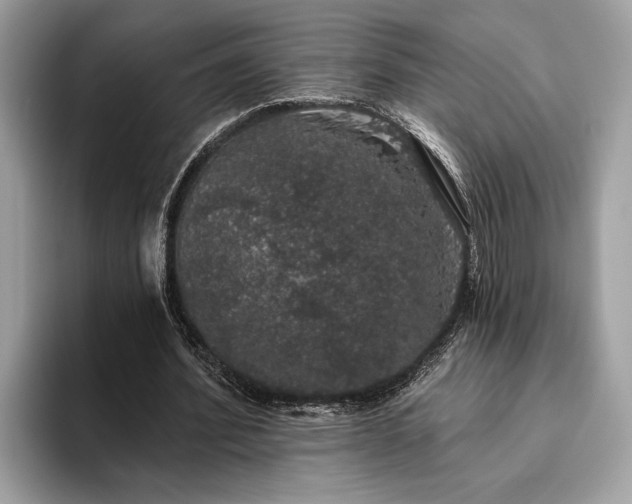 X0000093620580200710221548