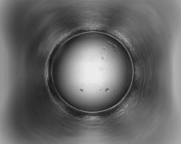 X0000093620582200710221548