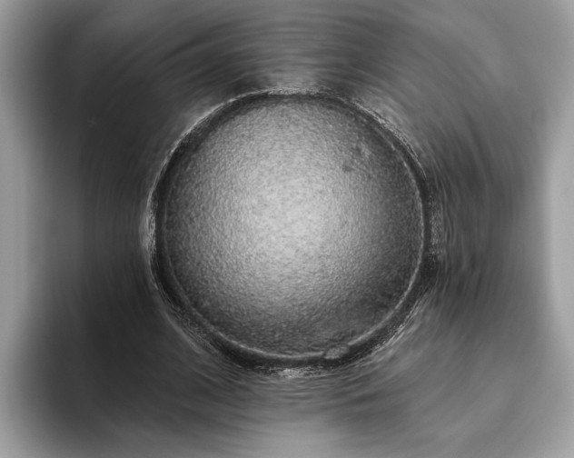 X0000093620584200710221548