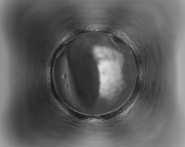 X0000093620585200710221548